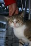 gal/cro 08/_thb_small-IMG_4878.JPG